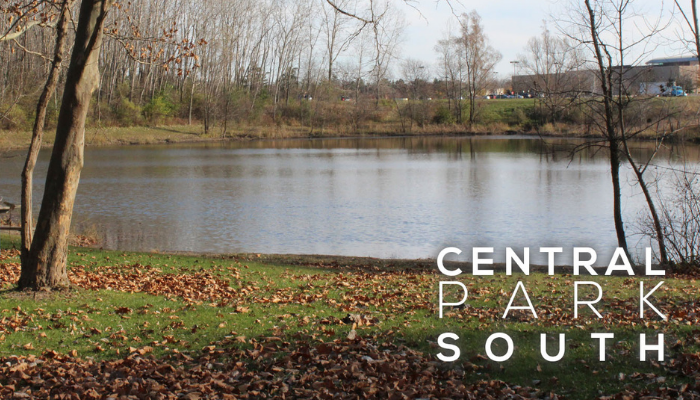 Central Park South pond